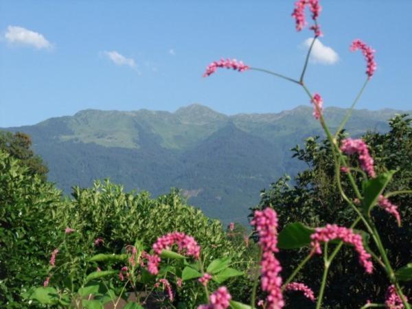 Le Domaine Du Grand Cellier Gites Appartement En Savoie Tournon-sur-Rhône Zewnętrze zdjęcie